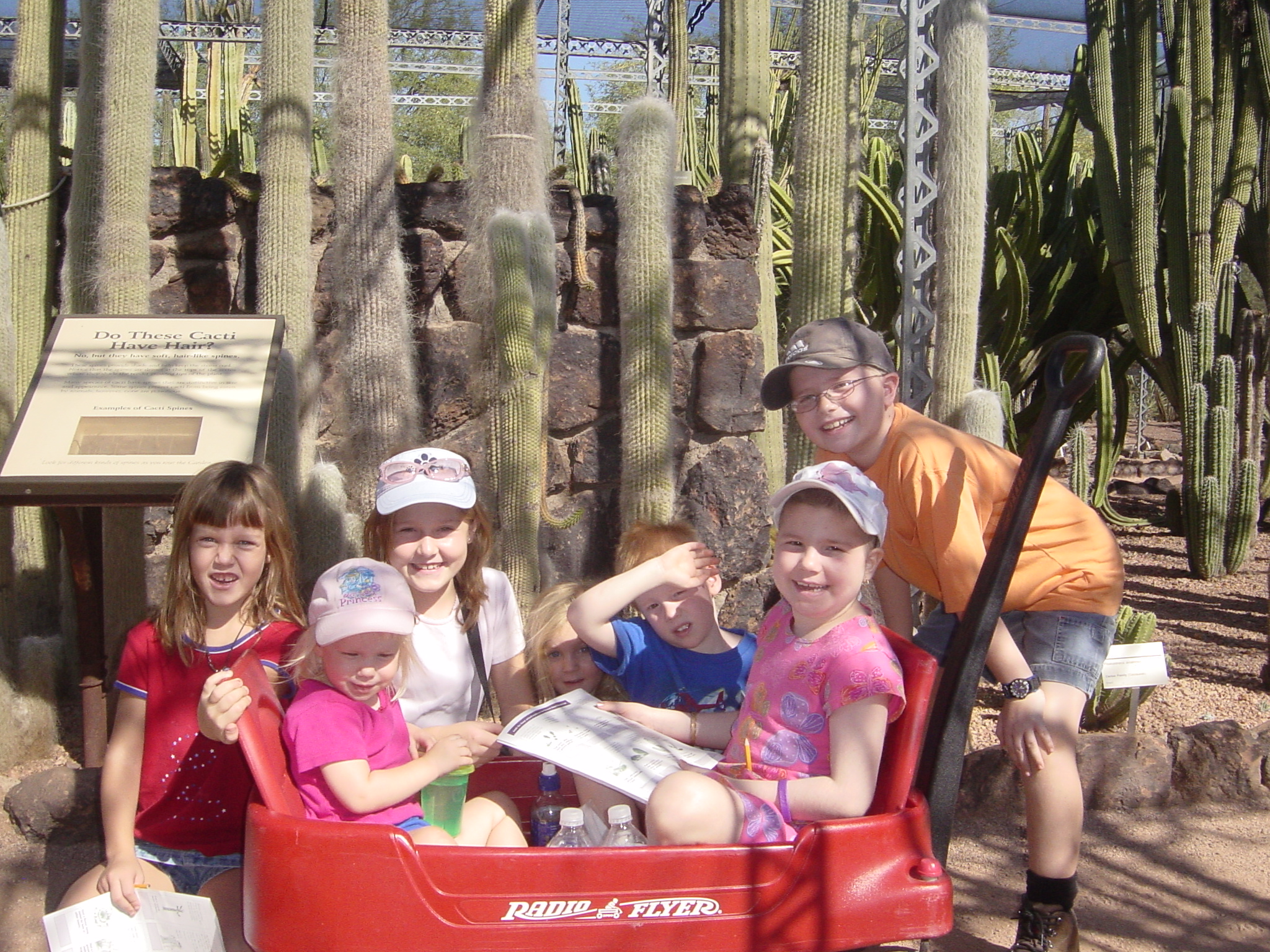 Botanical Gardens 011.jpg